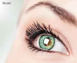Choosing the Right Plastic Surgeon for Your Eyelid Procedure